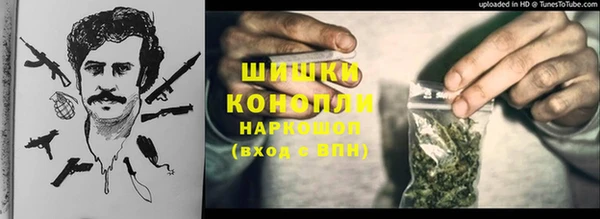 спайс Нея