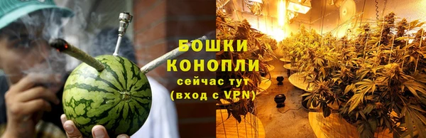 гашик Нефтекумск